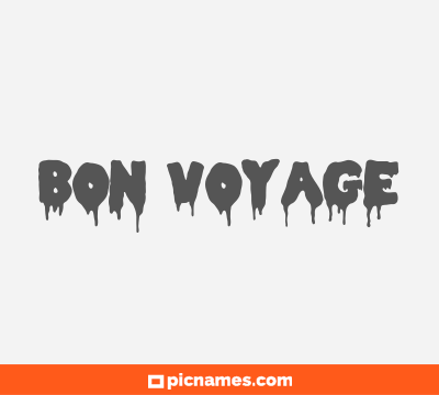 Bon Voyage